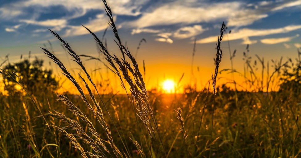 SI LE GRAIN DE BLÉ NE MEURT… TRANSMETTRE À L’ÉGLISE CE QUE L’ON A REÇU