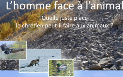 RÉÉCOUTER LA CONFÉRENCE DE TUGDUAL DERVILLE : « L’HOMME FACE À L’ANIMAL. QUELLE JUSTE PLACE LE CHRÉTIEN PEUT-IL FAIRE AUX ANIMAUX ? »