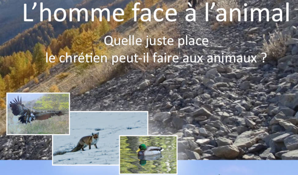 CONFÉRENCE DIOCÉSAINE : « L’HOMME FACE À L’ANIMAL. QUELLE JUSTE PLACE LE CHRÉTIEN PEUT-IL FAIRE AUX ANIMAUX ?»